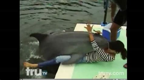 dolphin humping girl|Caught on Video: Hilarious moment an amorous dolphin leaped。